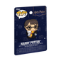 Funko POP! PVC Pins: Harry Potter
